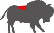 bison_striploin