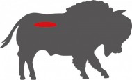bison_tenderloin